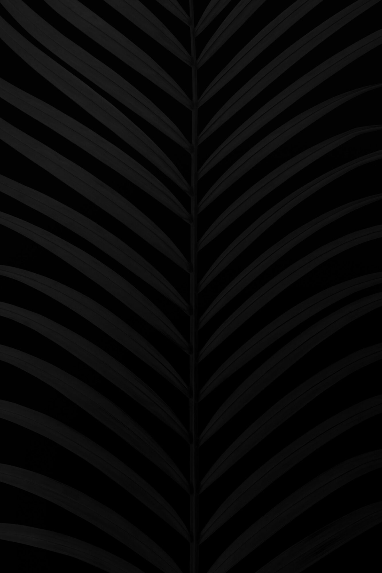 wallpaper-4k-papel-de-parede-para-celular-preto-e-branco