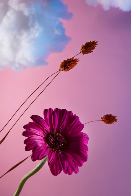 papel-de-parede-para-celular-flores