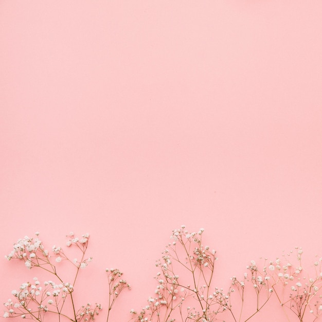 fundo-para-celular-rosa